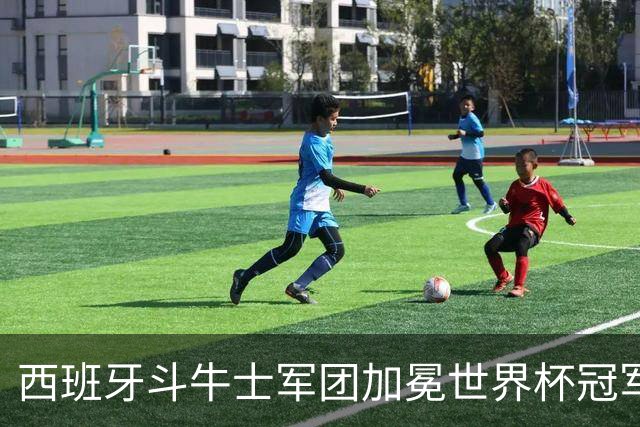 西班牙斗牛士军团加冕世界杯冠军！传控美学登顶世界之巅！